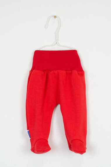 Półśpioch czerwony