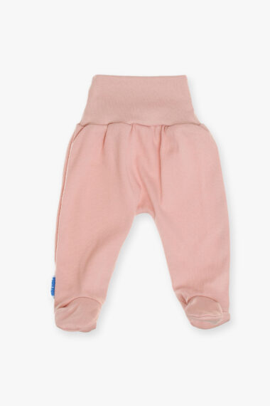 Półśpioch pudrowy róż