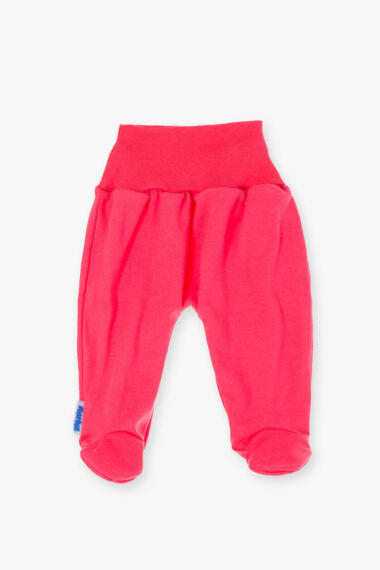 Półśpioch koralowy