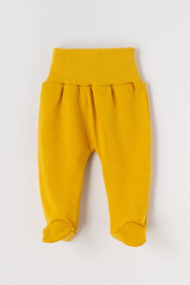 Półśpioch niemowlęcy musztardowy