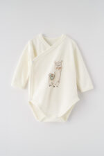 bad5a8544216830c9851a077820a2354