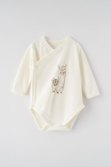 bad5a8544216830c9851a077820a2354